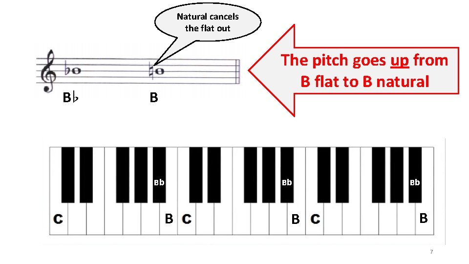 Natural cancels the flat out B The pitch goes up from B flat to