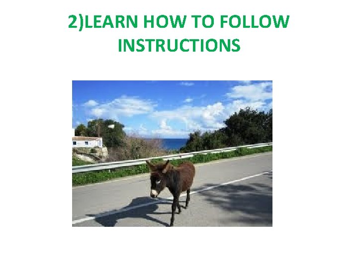 2)LEARN HOW TO FOLLOW INSTRUCTIONS 
