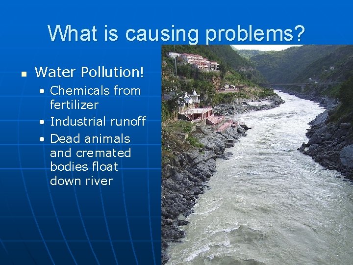 What is causing problems? n Water Pollution! • Chemicals from fertilizer • Industrial runoff What is causing problems? n Water Pollution! • Chemicals from fertilizer • Industrial runoff