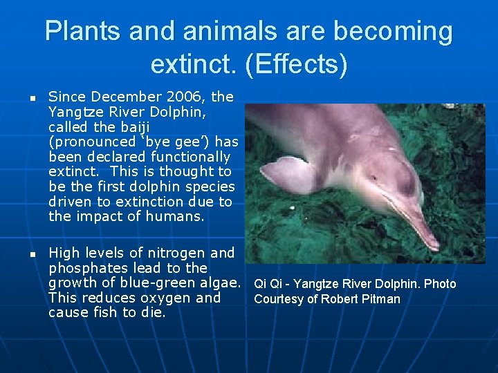 Plants and animals are becoming extinct. (Effects) n n Since December 2006, the Yangtze Plants and animals are becoming extinct. (Effects) n n Since December 2006, the Yangtze