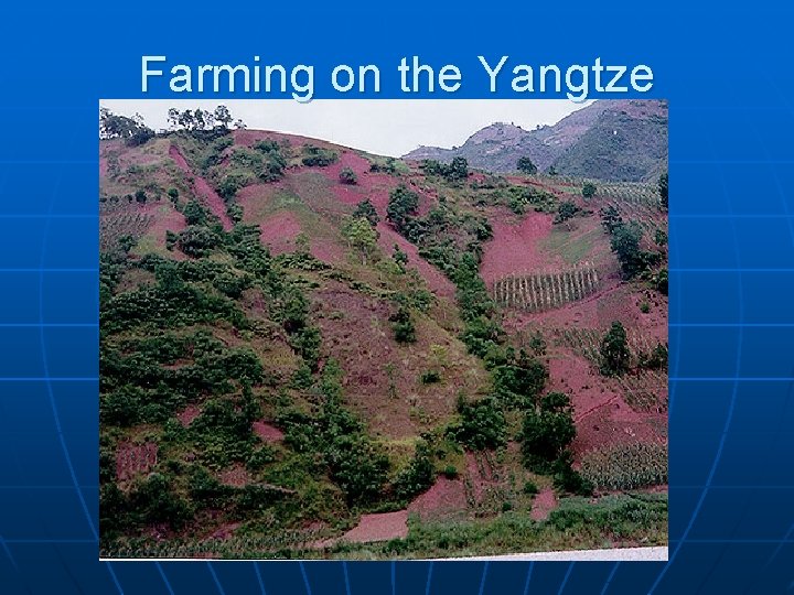 Farming on the Yangtze Farming on the Yangtze