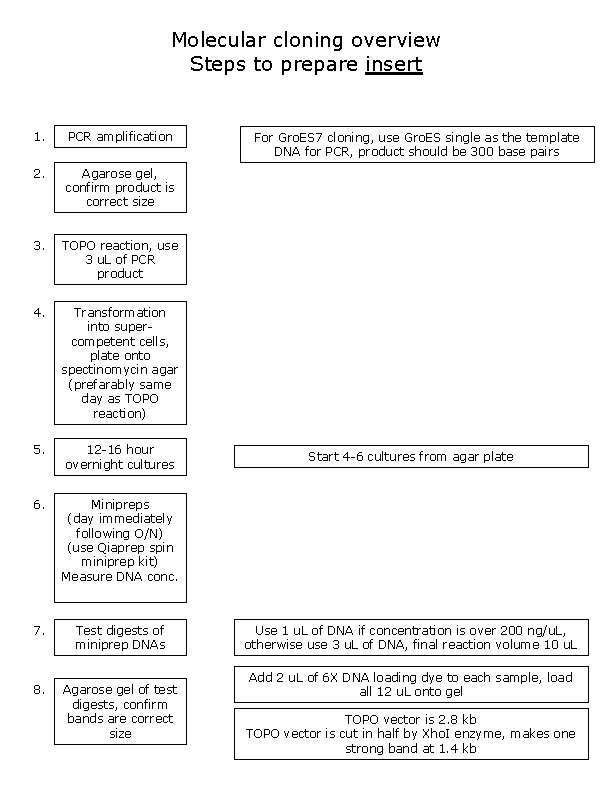Molecular cloning overview Steps to prepare insert 1. PCR amplification 2. Agarose gel, confirm
