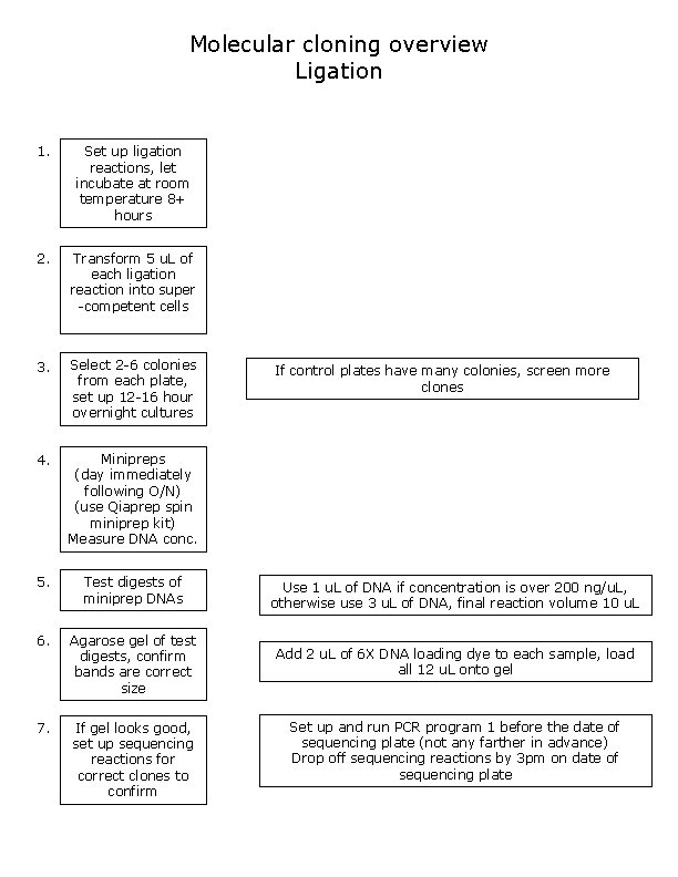 Molecular cloning overview Ligation 1. Set up ligation reactions, let incubate at room temperature