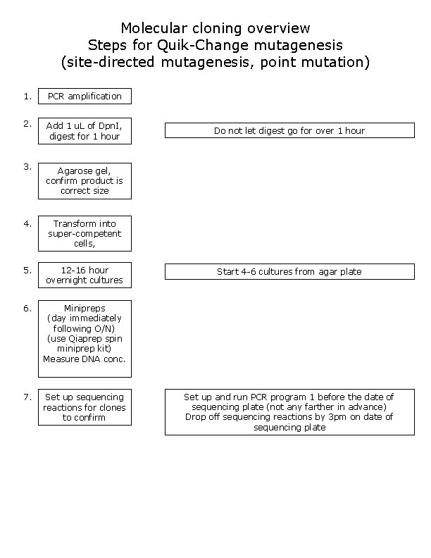 Molecular cloning overview Steps for Quik-Change mutagenesis (site-directed mutagenesis, point mutation) 1. PCR amplification