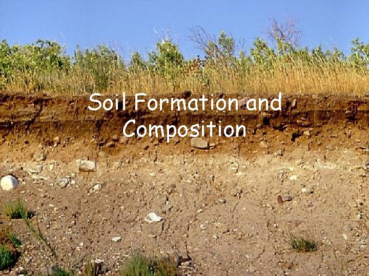 Soil Formation and Composition 