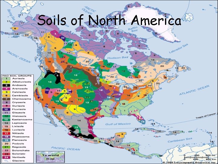 Soils of North America 
