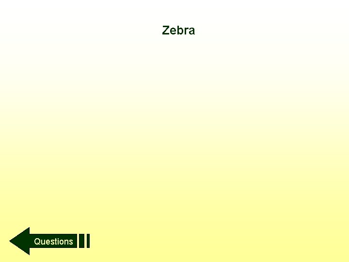 Zebra Questions 