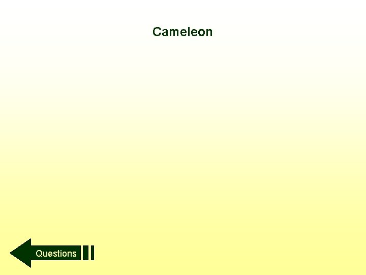 Cameleon Questions 