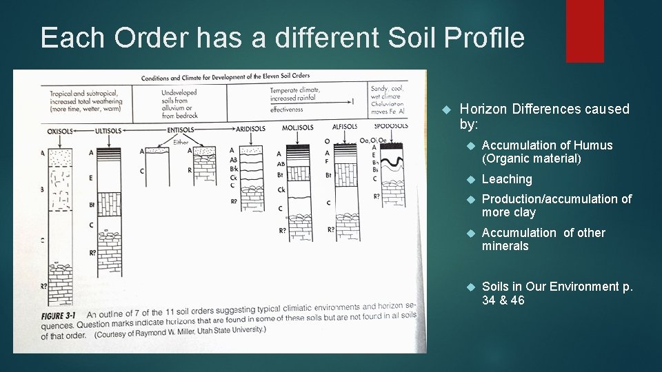 Each Order has a different Soil Profile Horizon Differences caused by: Accumulation of Humus