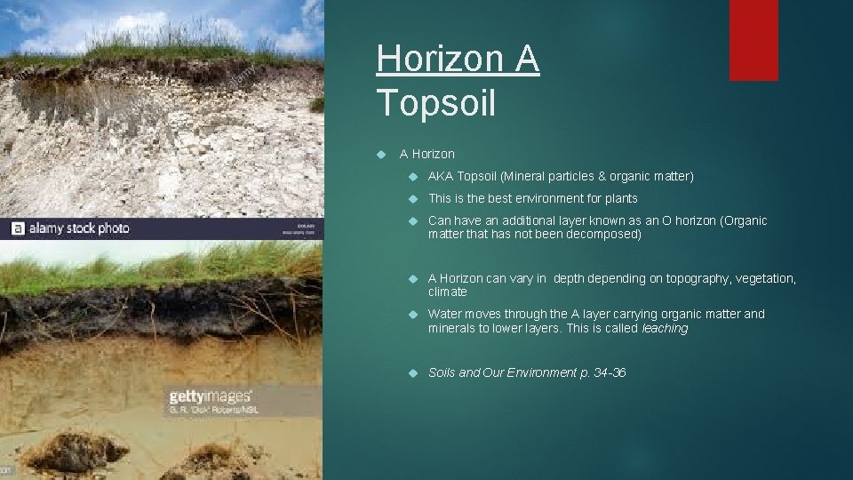 Horizon A Topsoil A Horizon AKA Topsoil (Mineral particles & organic matter) This is