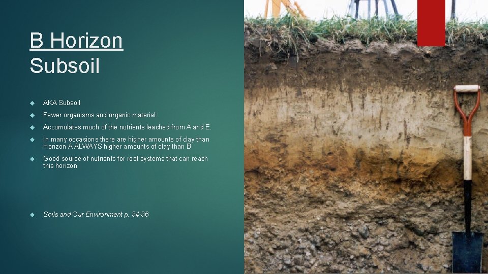 B Horizon Subsoil AKA Subsoil Fewer organisms and organic material Accumulates much of the