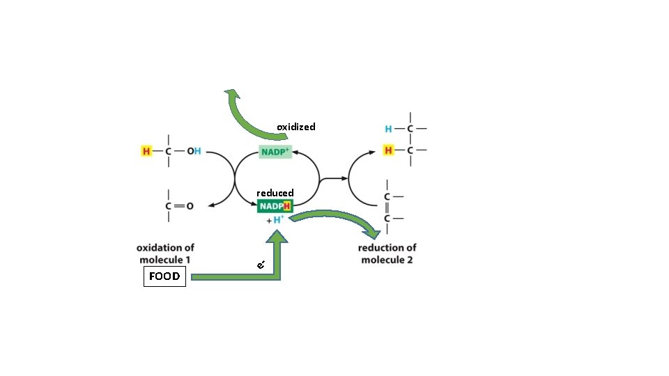 oxidized reduced FOOD e- 