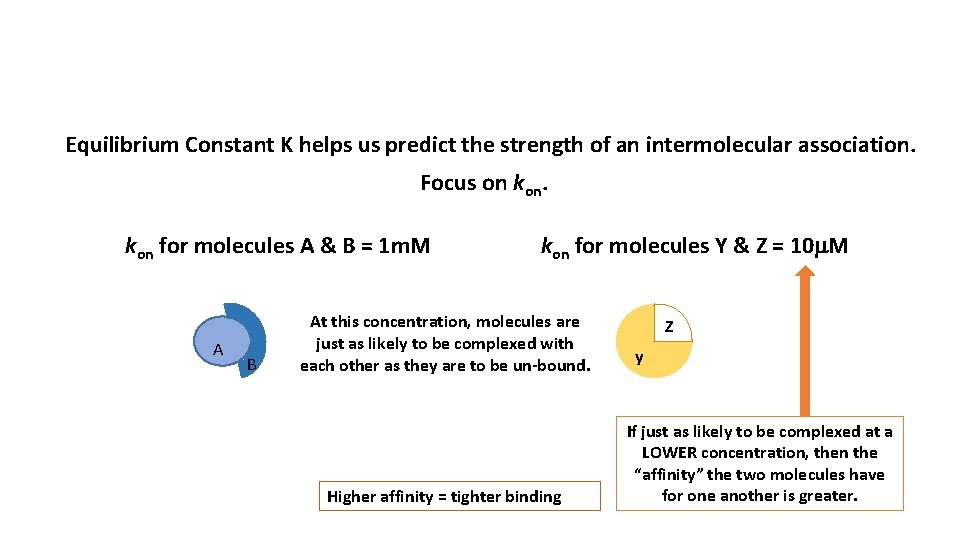 Equilibrium Constant K helps us predict the strength of an intermolecular association. Focus on