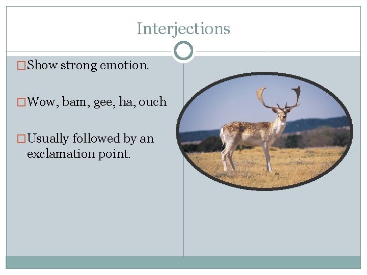 Interjections �Show strong emotion. �Wow, bam, gee, ha, ouch �Usually followed by an exclamation