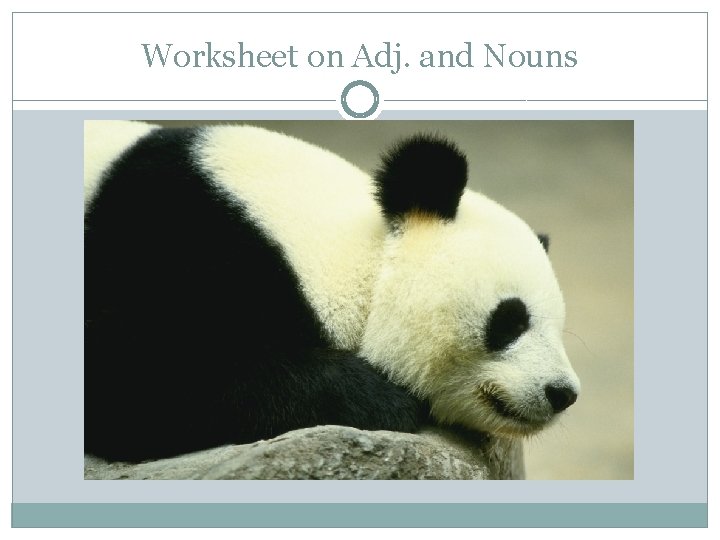 Worksheet on Adj. and Nouns 