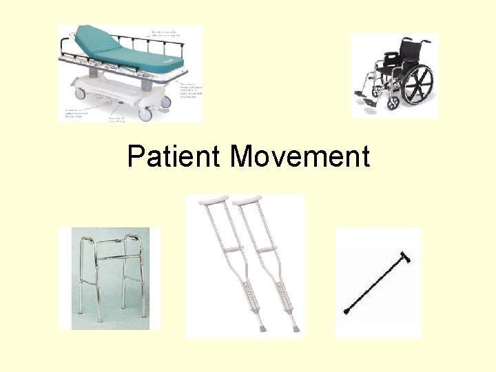 Patient Movement 