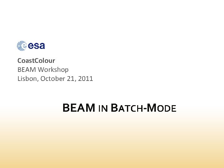 Coast. Colour BEAM Workshop Lisbon, October 21, 2011 BEAM IN BATCH-MODE 