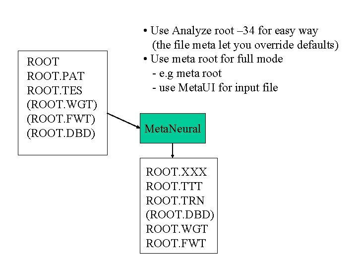ROOT. PAT ROOT. TES (ROOT. WGT) (ROOT. FWT) (ROOT. DBD) • Use Analyze root