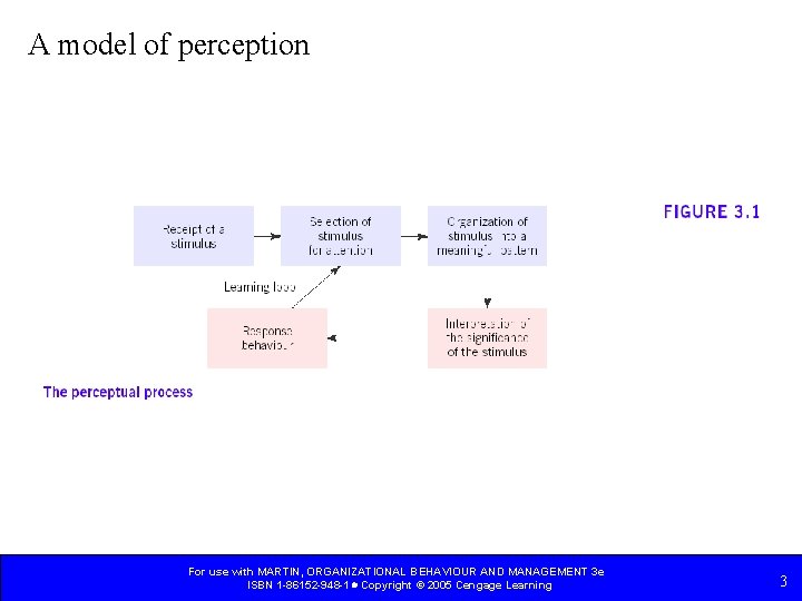 A model of perception For use with MARTIN, ORGANIZATIONAL BEHAVIOUR AND MANAGEMENT 3 e