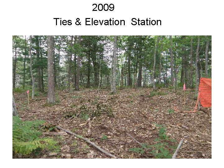 2009 Ties & Elevation Station 