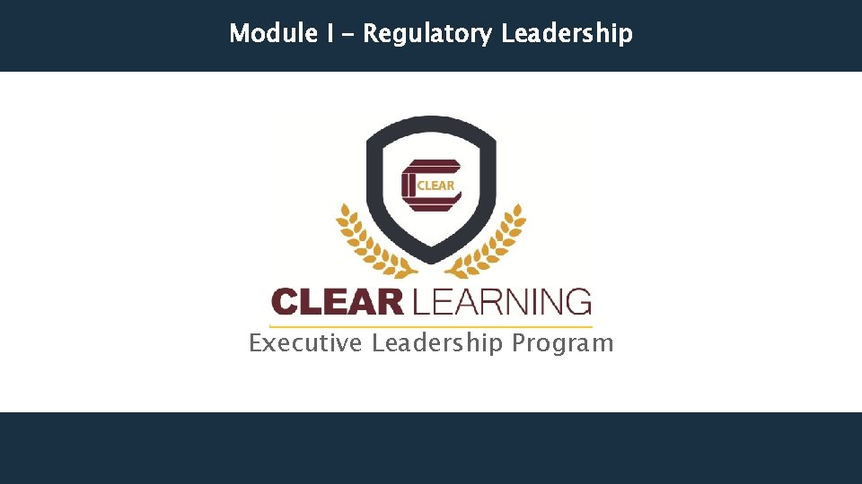 Module I – Regulatory Leadership Executive Leadership Program 