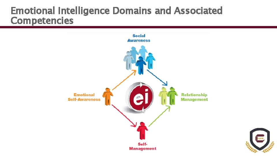 Emotional Intelligence Domains and Associated Competencies 