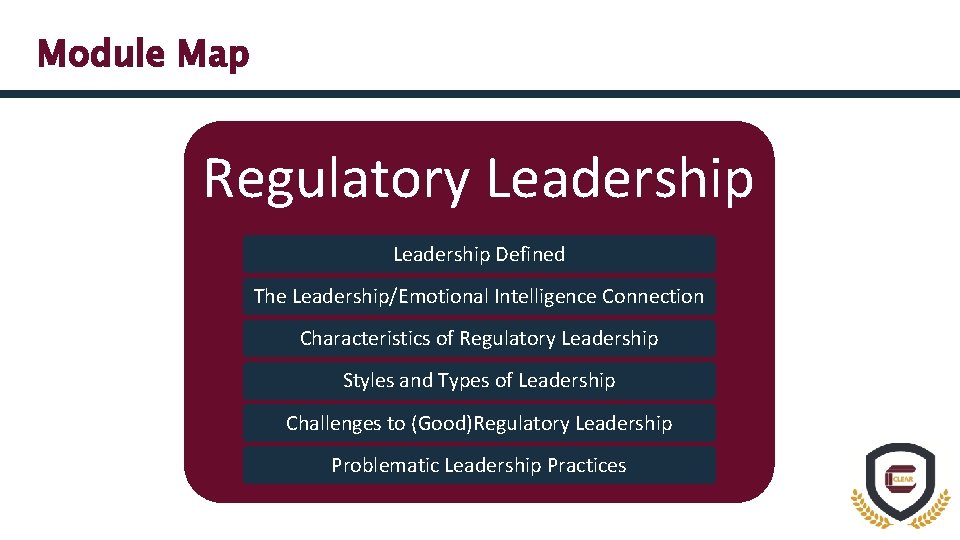 Module Map Regulatory Leadership Defined The Leadership/Emotional Intelligence Connection Characteristics of Regulatory Leadership Styles