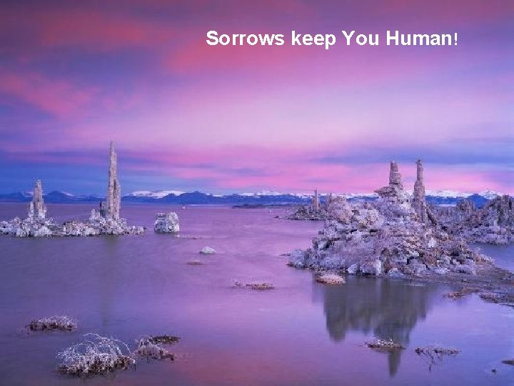 Sorrows keep You Human! 