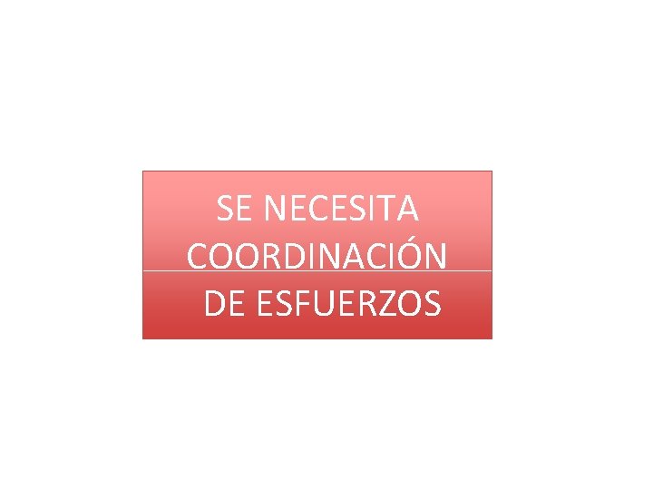 SE NECESITA COORDINACIÓN DE ESFUERZOS 