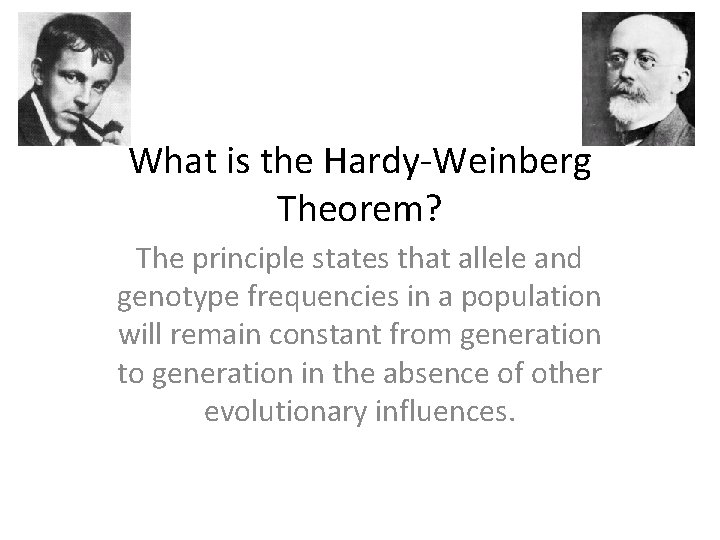 What is the Hardy-Weinberg Theorem? The principle states that allele and genotype frequencies in