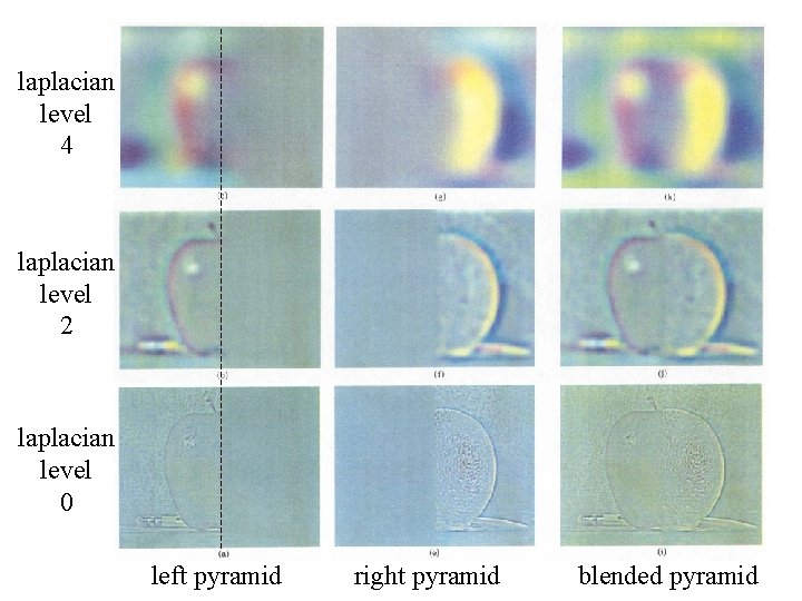 laplacian level 4 laplacian level 2 laplacian level 0 left pyramid right pyramid blended