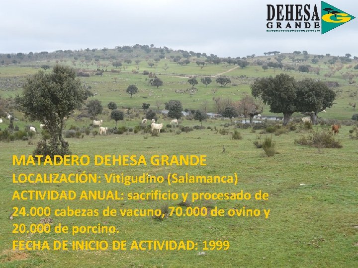 Foto de Pantano de la Dehesa en Vitigudino, Salamanca