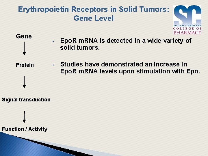 Erythropoietin Receptors in Solid Tumors: Gene Level Gene Protein Signal transduction Function / Activity