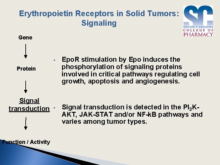 Erythropoietin Receptors in Solid Tumors: Signaling Gene • Epo. R stimulation by Epo induces