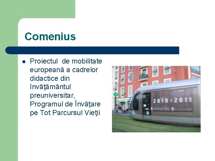 Comenius l Proiectul de mobilitate europeană a cadrelor didactice din învăţământul preuniversitar, Programul de