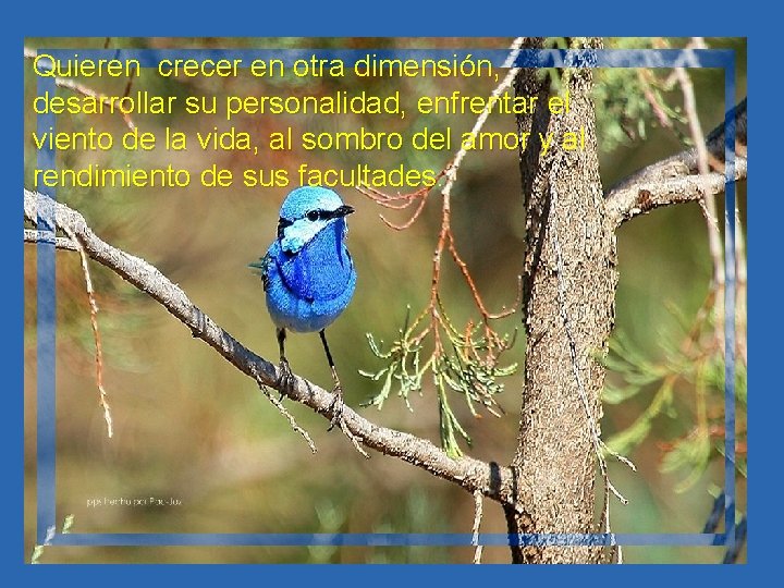 Quieren crecer en otra dimensión, desarrollar su personalidad, enfrentar el viento de la vida,