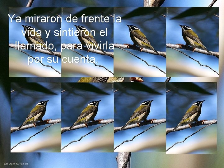 Ya miraron de frente la vida y sintieron el llamado, para vivirla por su