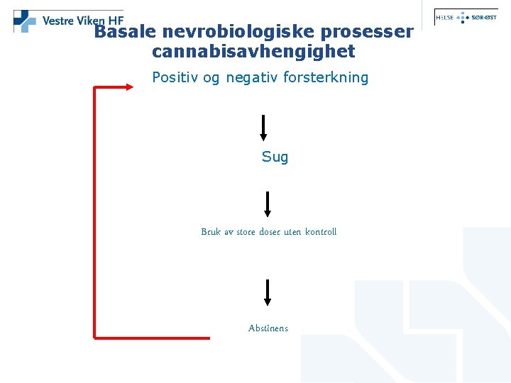 Basale nevrobiologiske prosesser cannabisavhengighet Positiv og negativ forsterkning Sug Bruk av store doser uten