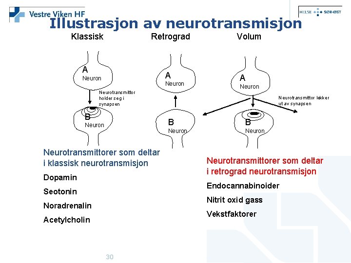 Illustrasjon av neurotransmisjon Klassisk Retrograd A A Neuron Neurotransmittor holder seg i synapsen B