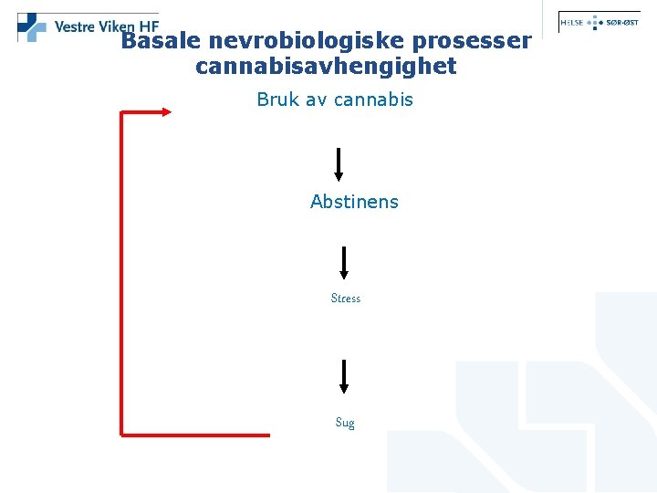 Basale nevrobiologiske prosesser cannabisavhengighet Bruk av cannabis Abstinens Stress Sug 