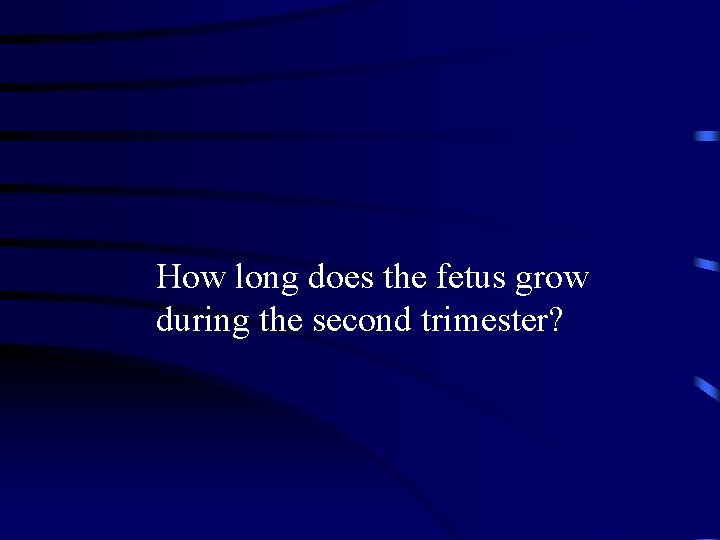 How long does the fetus grow during the second trimester? 