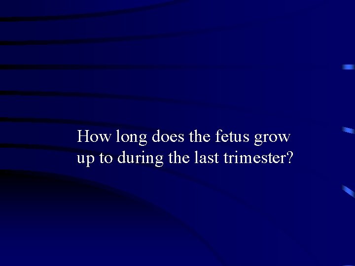How long does the fetus grow up to during the last trimester? 