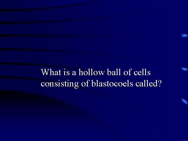 What is a hollow ball of cells consisting of blastocoels called? 