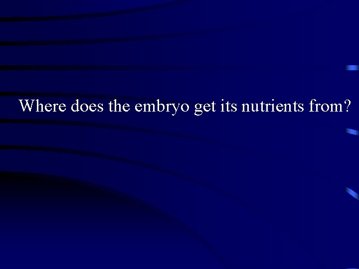 Where does the embryo get its nutrients from? 