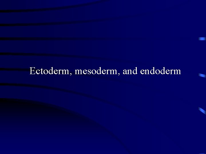 Ectoderm, mesoderm, and endoderm 
