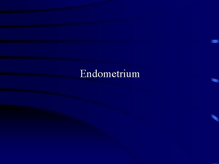 Endometrium 