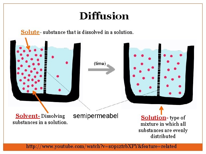 Diffusion Solute- substance that is dissolved in a solution. Solvent- Dissolving substances in a