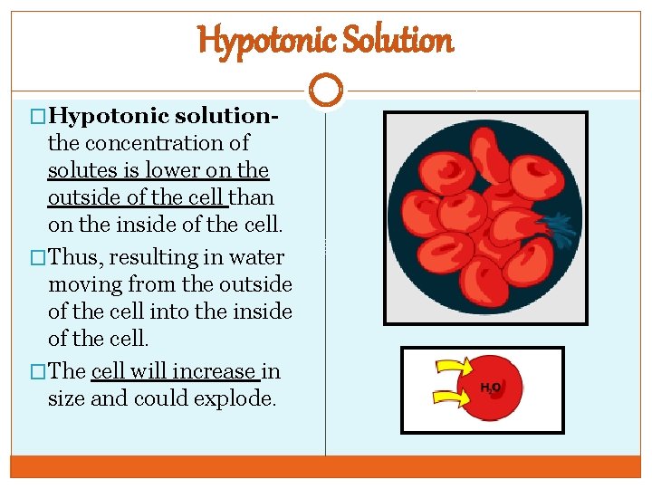 Hypotonic Solution �Hypotonic solution- the concentration of solutes is lower on the outside of