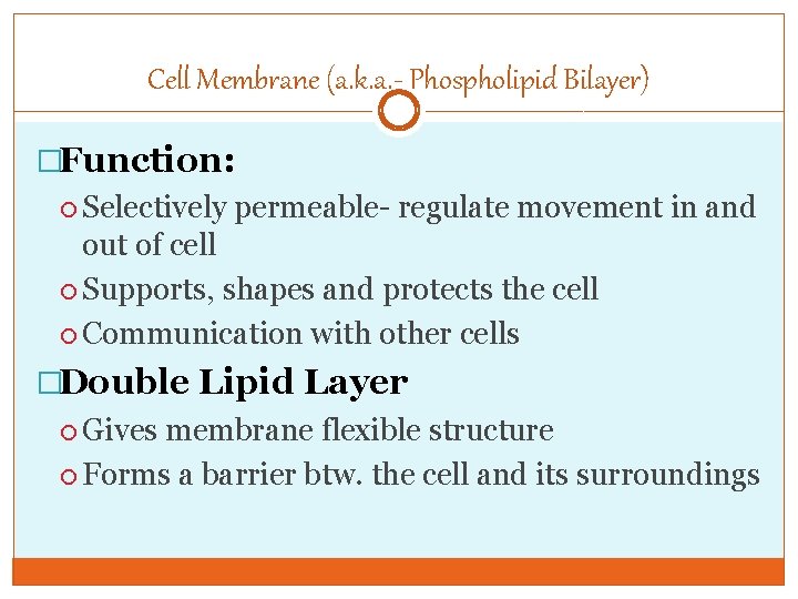Cell Membrane (a. k. a. - Phospholipid Bilayer) �Function: Selectively permeable- regulate movement in