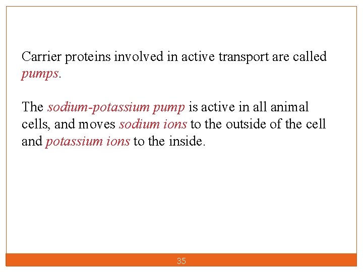 Carrier proteins involved in active transport are called pumps. The sodium-potassium pump is active